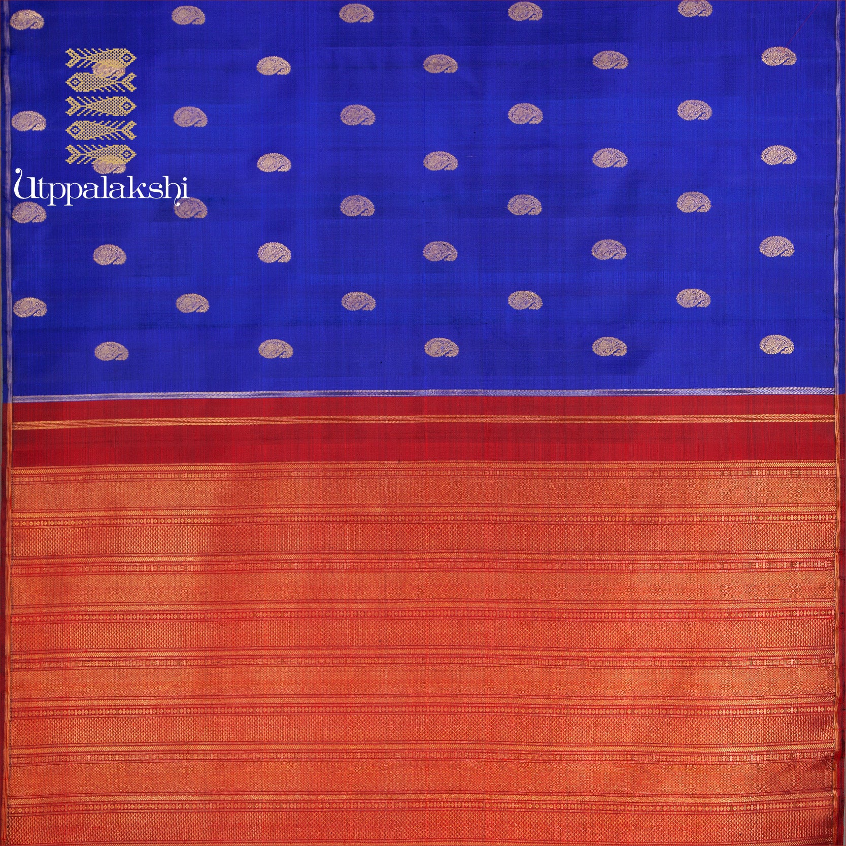 BLUE AND ARAKKU MANGO NO BORDER || UTPPALAKSHI HANDWOVEN KANJIVARAM SILK SAREE