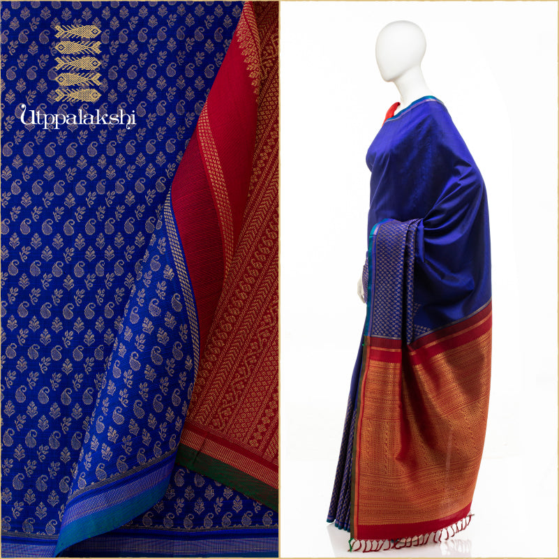 MS BLUE AND ARAKKU WIDE BORDER || UTPPALAKSHI HANDWOVEN KANJIVARAM SILK DESIGNER SAREE